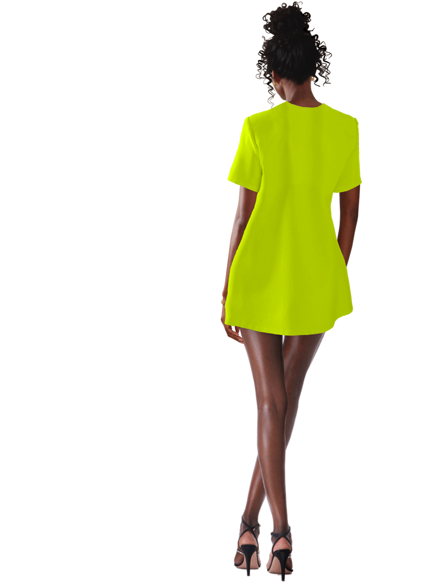 Titi Crystal Mini Dress
