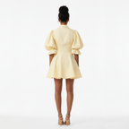Person wearing a light yellow dress on a white background